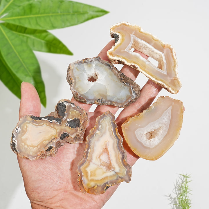 Natural Crystal Agate Geode Slice