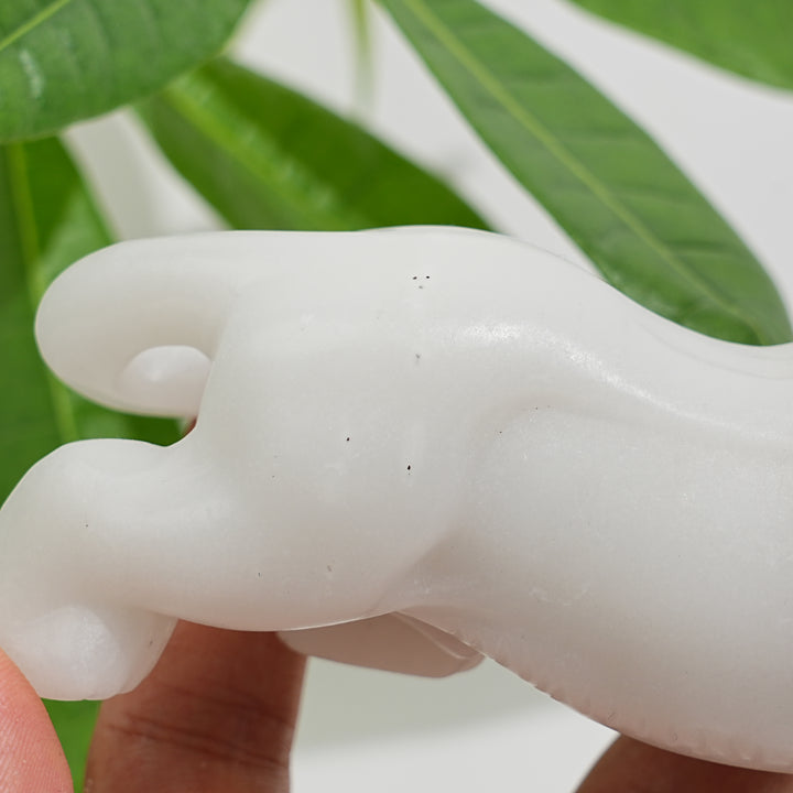 Natural Crystal White Jade Tiger Carving
