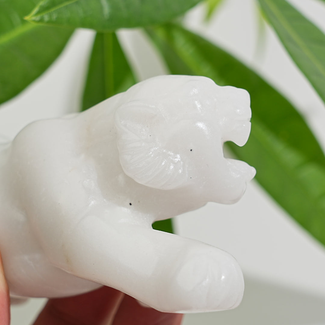 Natural Crystal White Jade Tiger Carving