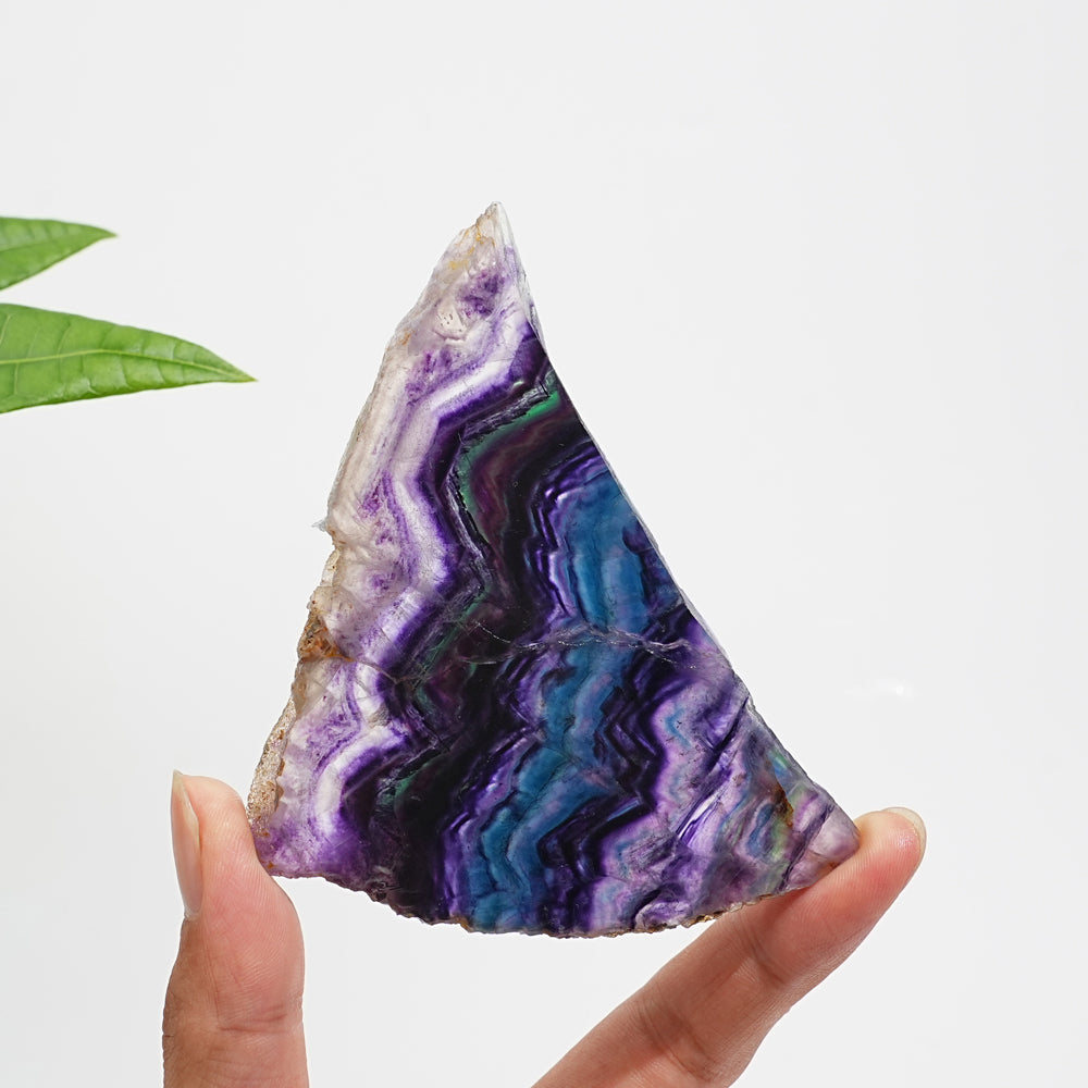 Unique,Natural Crystal Stunning Fluorite Slice