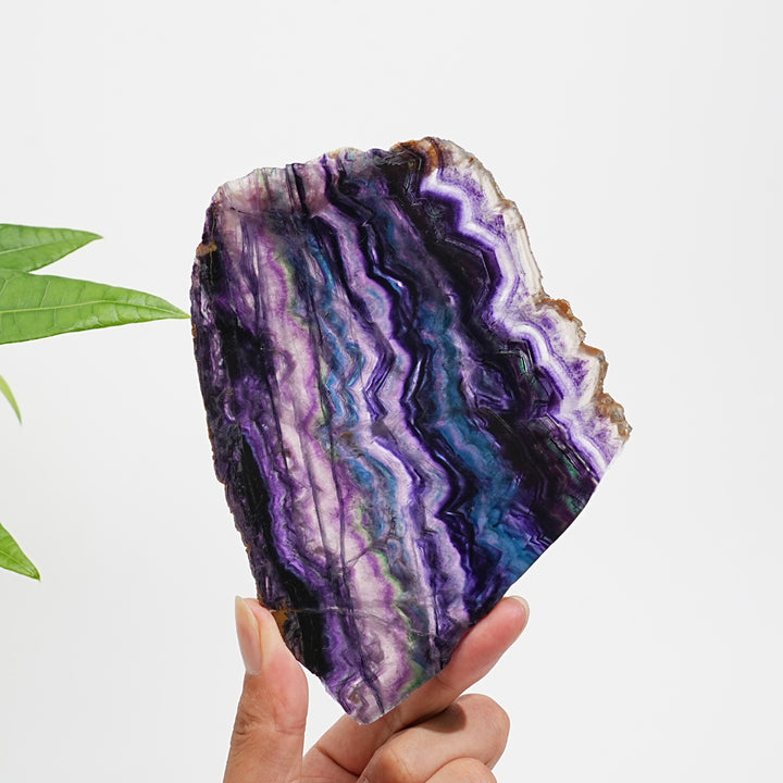 Unique,Natural Crystal Stunning Fluorite Slice