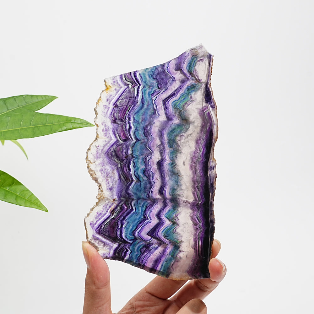 Unique,Natural Crystal Stunning Fluorite Slice