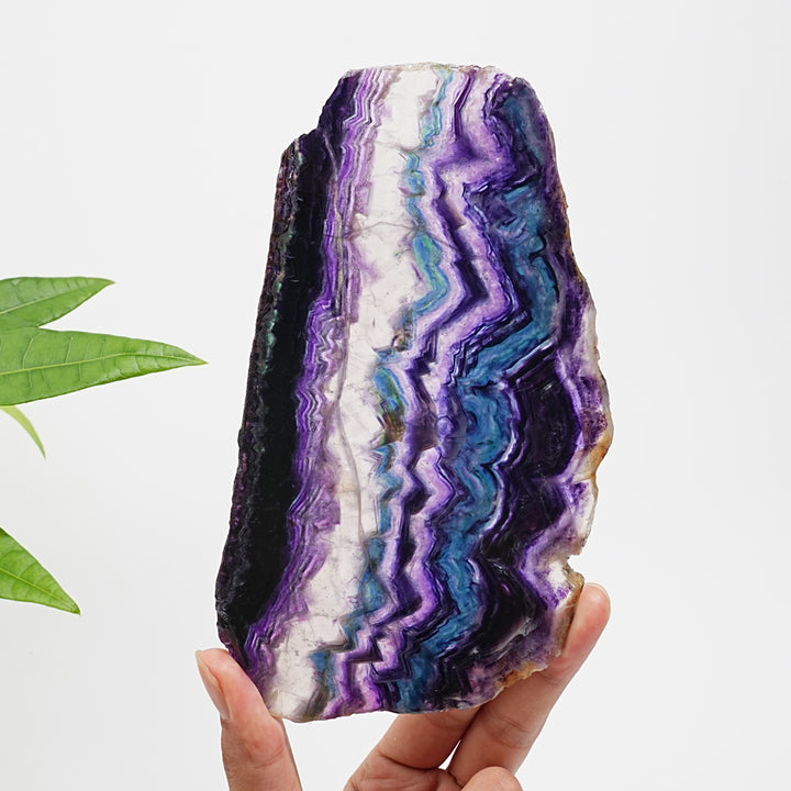 Unique,Natural Crystal Stunning Fluorite Slice