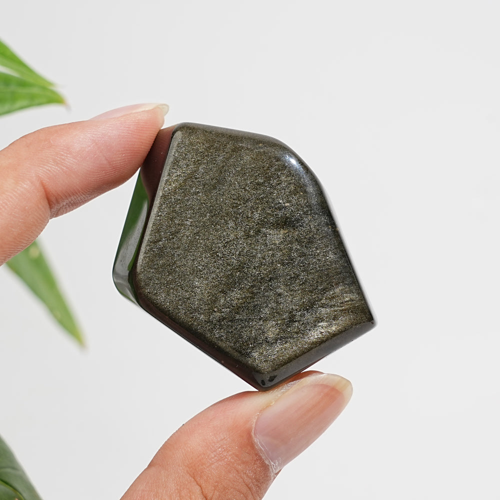 Natural Crystal Golden Obsidian Freeform
