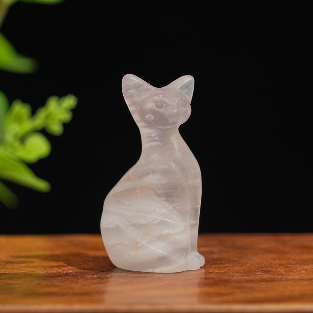 Natural Crystal Pixel Cat