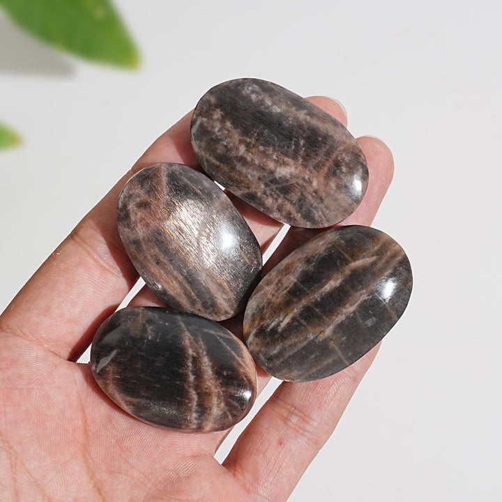 Natural Crystal Black Moonstone With Sunstone Palm Stone
