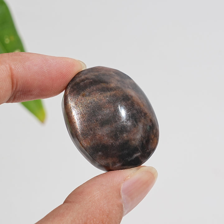 Natural Crystal Black Moonstone With Sunstone Palm Stone