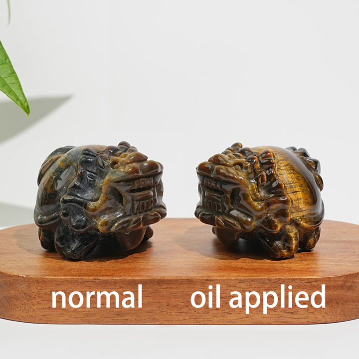 Natural Tiger Eye Dragon Turtle Carving