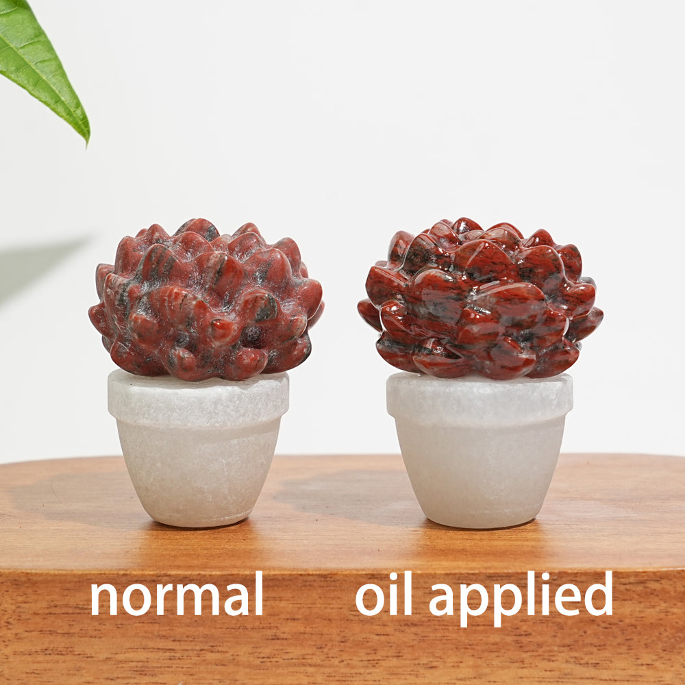 Natural Crystal Succulent Potted Plant
