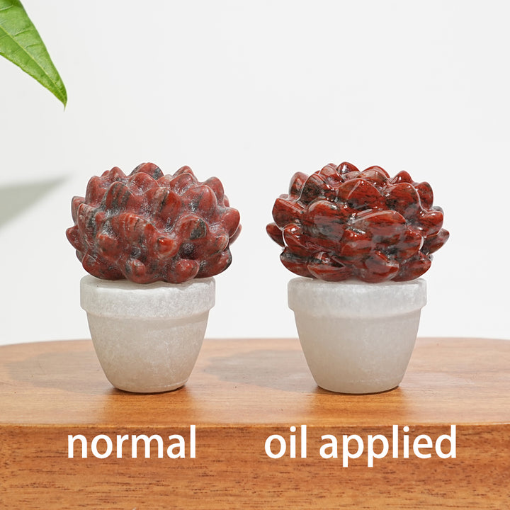 Natural Crystal Succulent Potted Plant