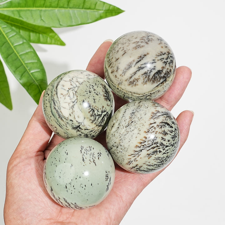 Natural Crystal Delicate Green Dendritic Calcite Sphere