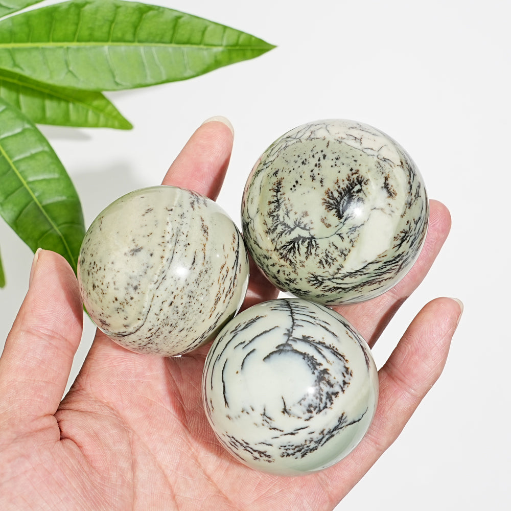 Natural Crystal Delicate Green Dendritic Calcite Sphere