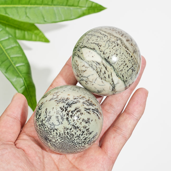 Natural Crystal Delicate Green Dendritic Calcite Sphere