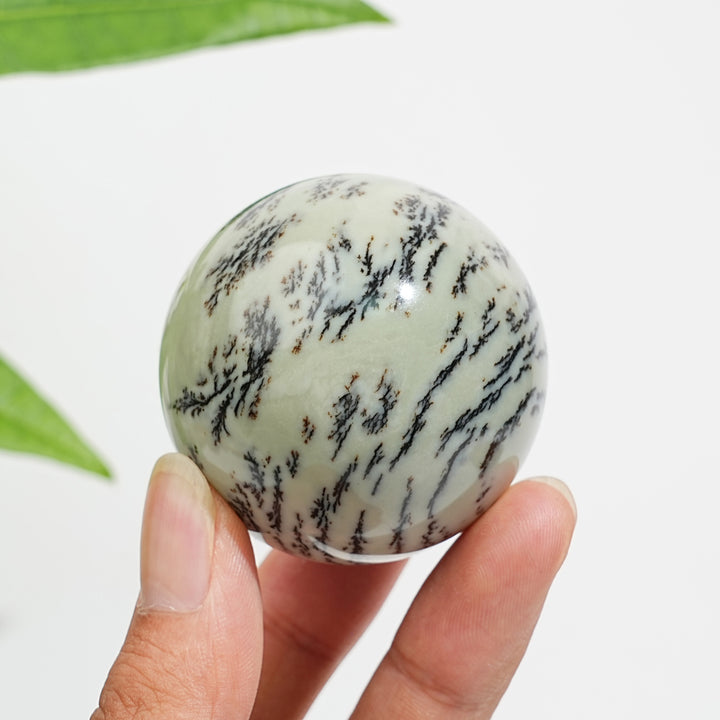 Natural Crystal Delicate Green Dendritic Calcite Sphere