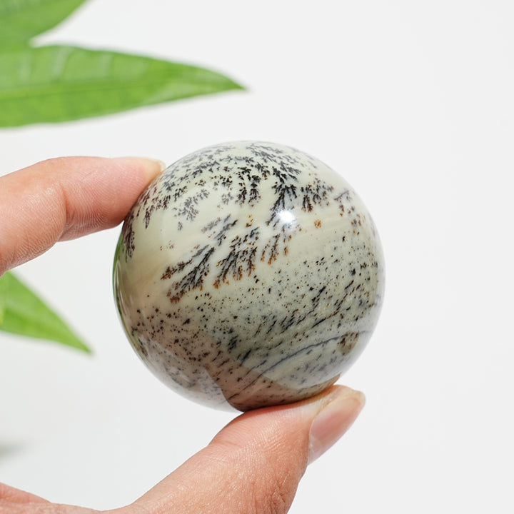 Natural Crystal Delicate Green Dendritic Calcite Sphere