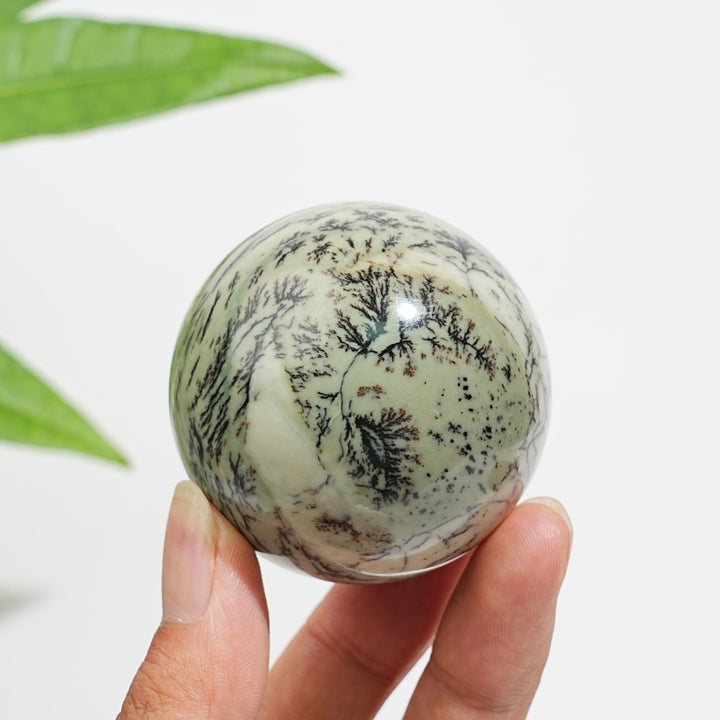 Natural Crystal Delicate Green Dendritic Calcite Sphere