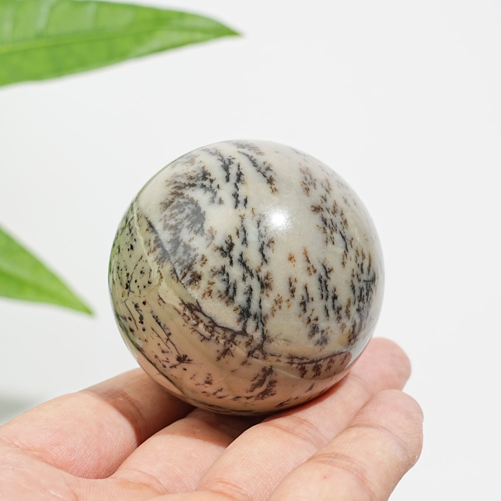 Natural Crystal Delicate Green Dendritic Calcite Sphere