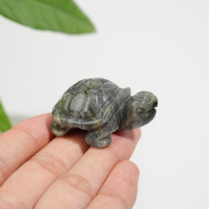 Natural Crystal Carving Turtle