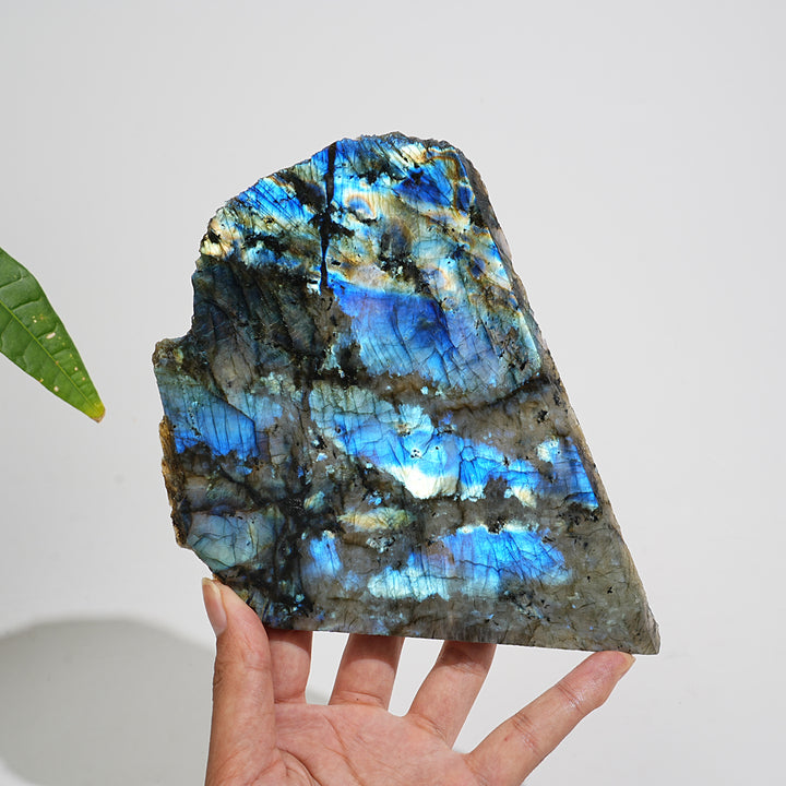 Unique,Natural Labradorite Slice