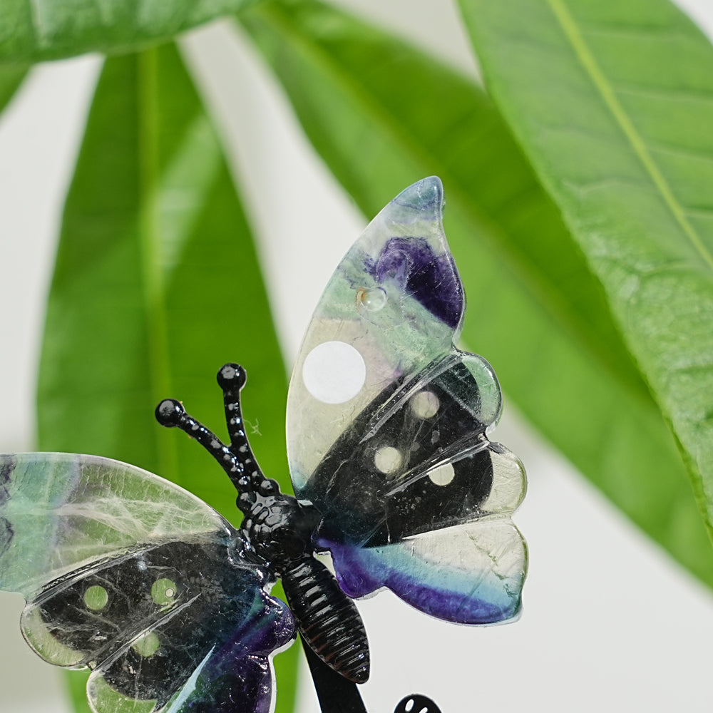 A Slightly Imperfect Natural Fluorite Cat Chasing Butterfly Display Ornament