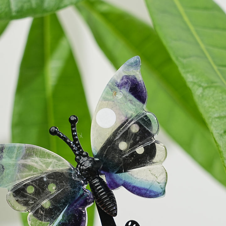 A Slightly Imperfect Natural Fluorite Cat Chasing Butterfly Display Ornament