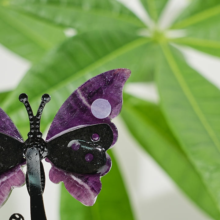 A Slightly Imperfect Natural Fluorite Cat Chasing Butterfly Display Ornament