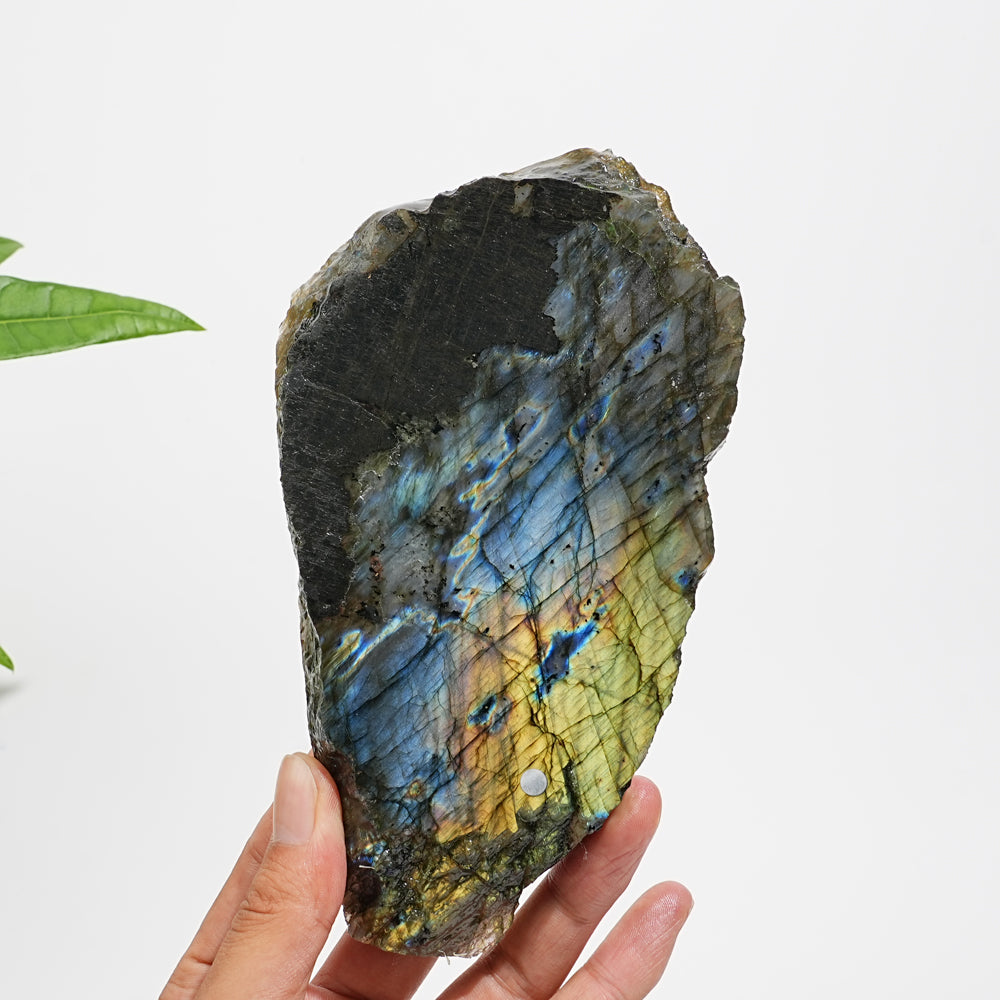 Unique,A Slightly Imperfect Natural Labradorite Crystal Slice
