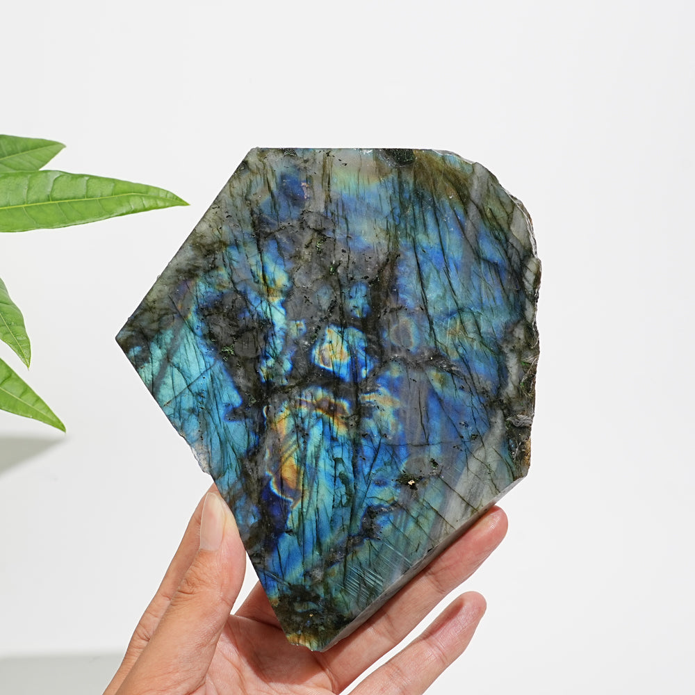 Unique,A Slightly Imperfect Natural Labradorite Crystal Slice