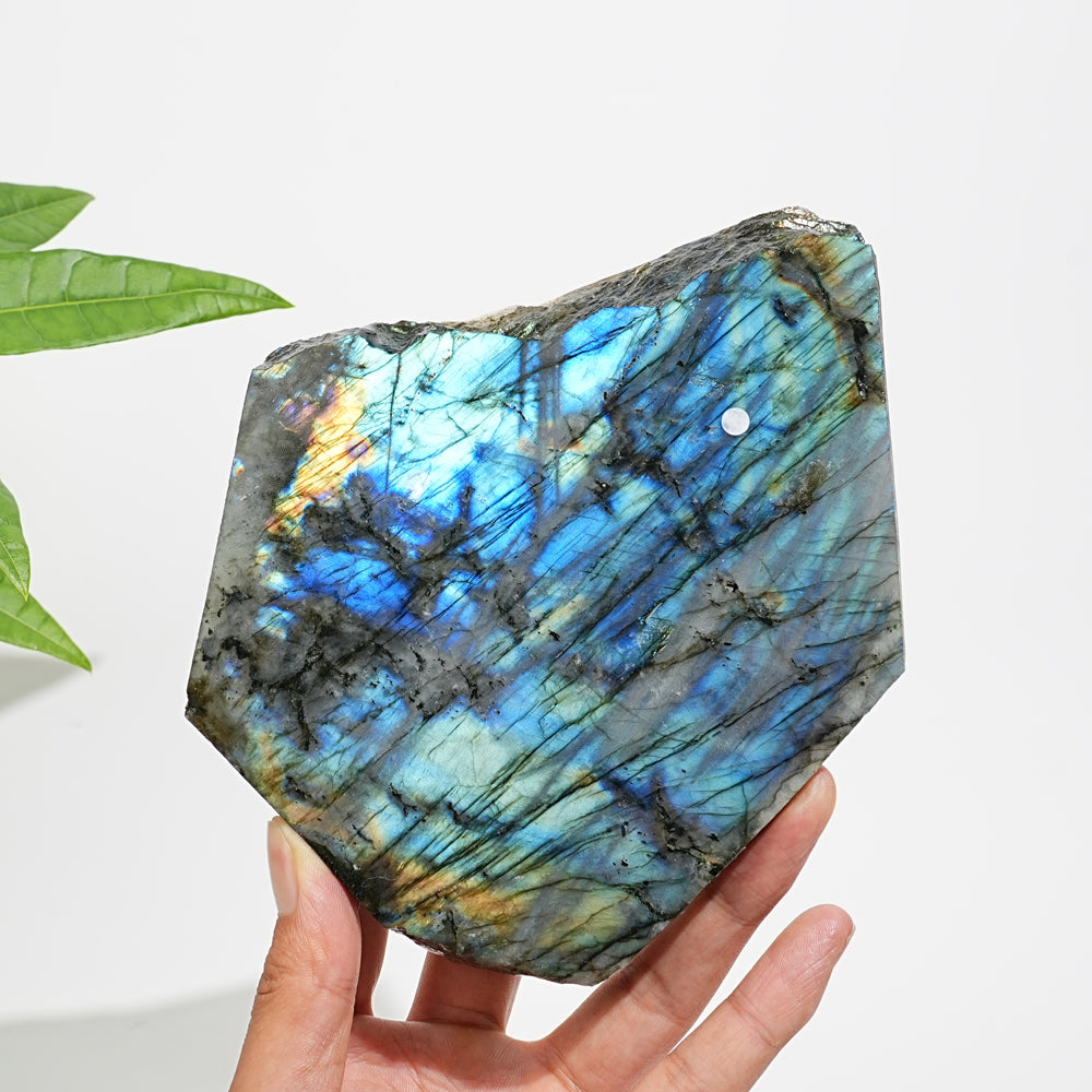 Unique,A Slightly Imperfect Natural Labradorite Crystal Slice