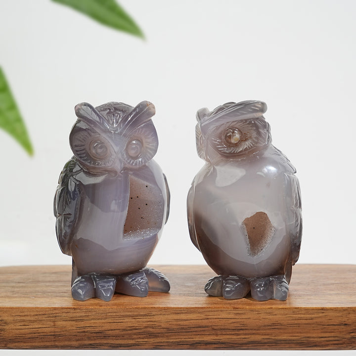 Unique,Natural Crystal Carving Exquisite Agate Geode Owl
