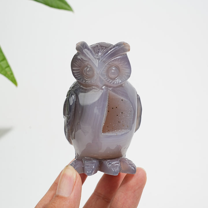 Unique,Natural Crystal Carving Exquisite Agate Geode Owl
