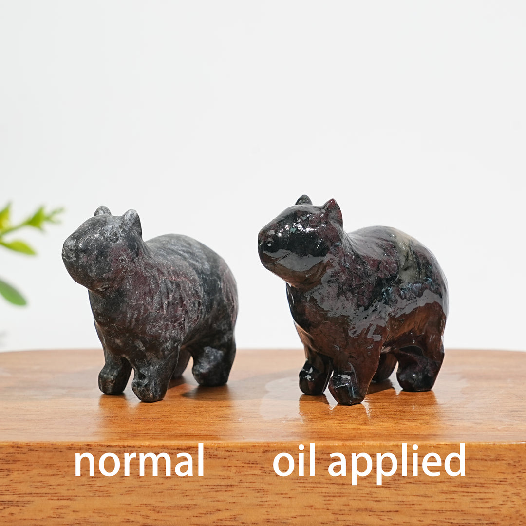 Capibara Carving