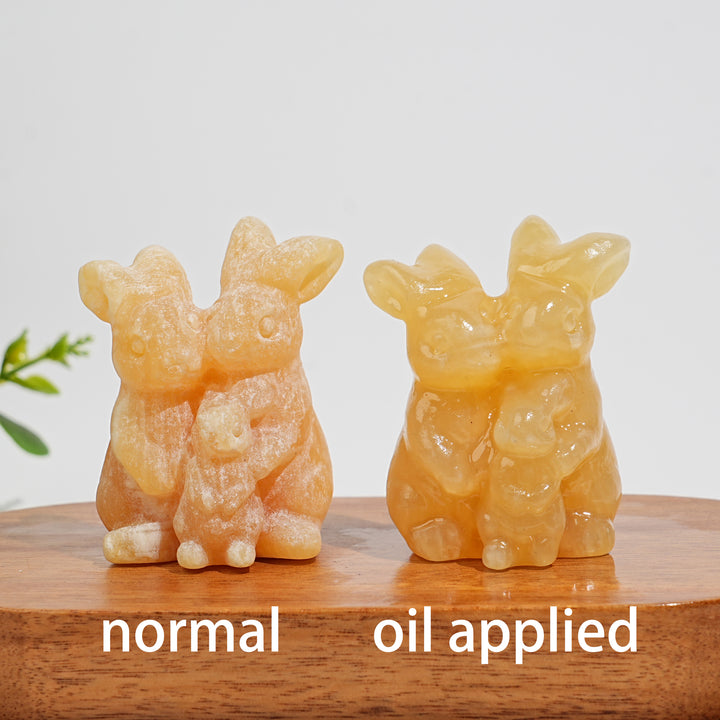 Natural Crystal Cozy Rabbit Family Carving