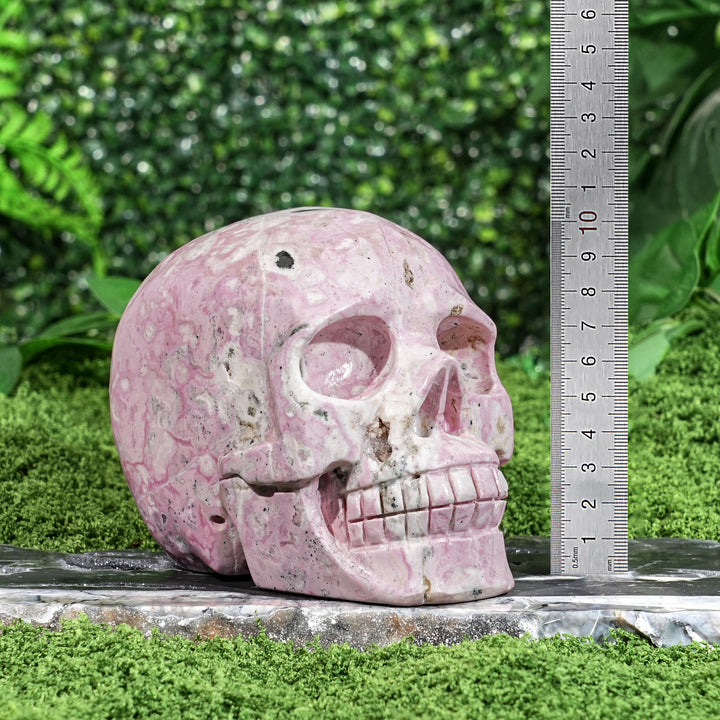 ⚡SALE⚡Unique,Natural Peruvian Rhodochrosite Skull