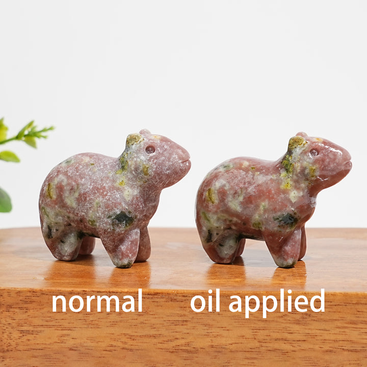 Capibara Carving