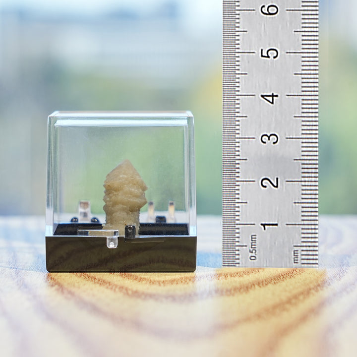 Natural Top Alpha Quartz (After Beta Quartz)