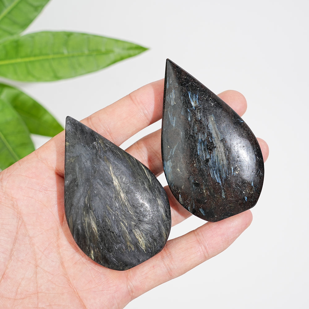 Natural Crystal Garnet With Arfvedsonite Teardrop