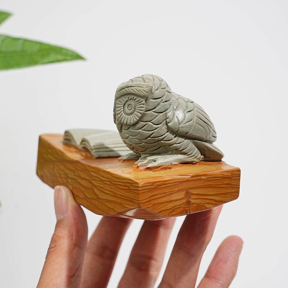 Unique,A Slightly Imperfect Natural Crystal Calcite Owl With Book Carving