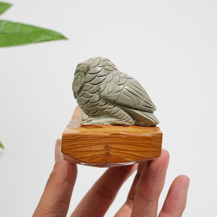 Unique,A Slightly Imperfect Natural Crystal Calcite Owl With Book Carving