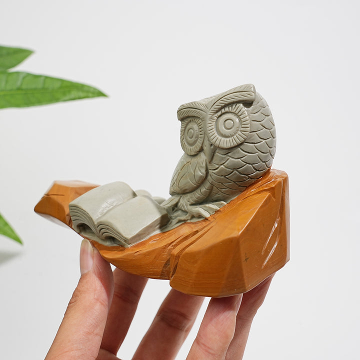 Unique,A Slightly Imperfect Natural Crystal Calcite Owl With Book Carving