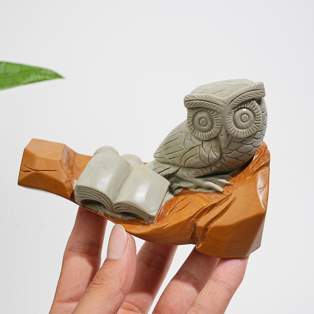 Unique,A Slightly Imperfect Natural Crystal Calcite Owl With Book Carving