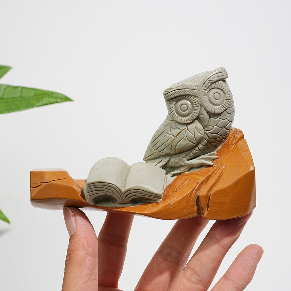 Unique,A Slightly Imperfect Natural Crystal Calcite Owl With Book Carving