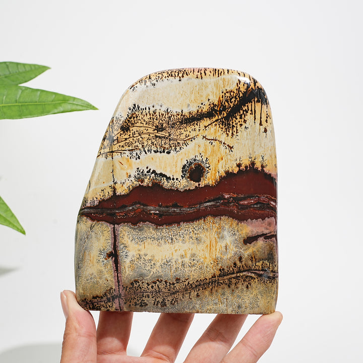 Unique,A Slightly Imperfect Natural Crystal Picture Jasper Ornament
