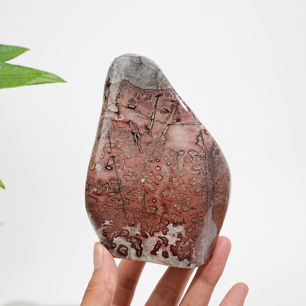Unique,A Slightly Imperfect Natural Crystal Picture Jasper Ornament