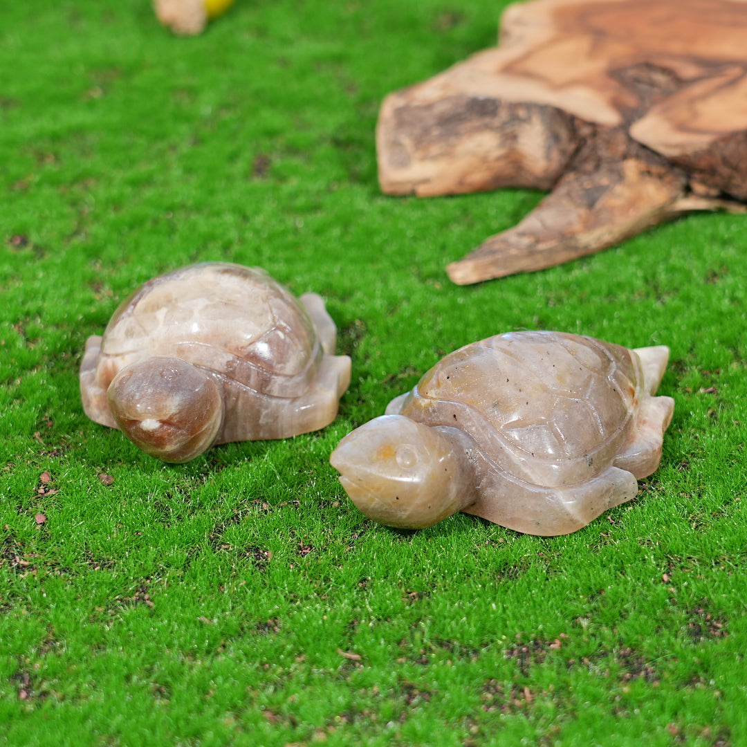 Natural Sunstone-Moonstone Turtle