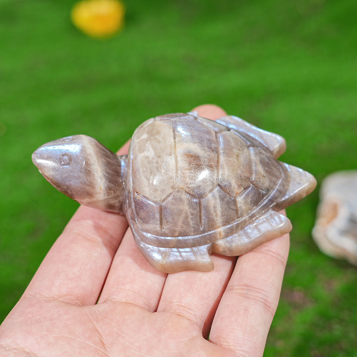 Natural Sunstone-Moonstone Turtle