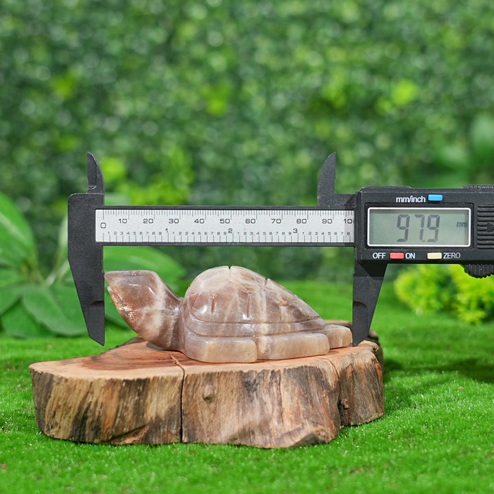 Natural Sunstone-Moonstone Turtle