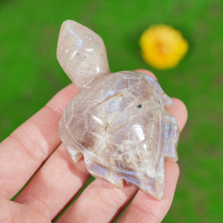 Natural Sunstone-Moonstone Turtle
