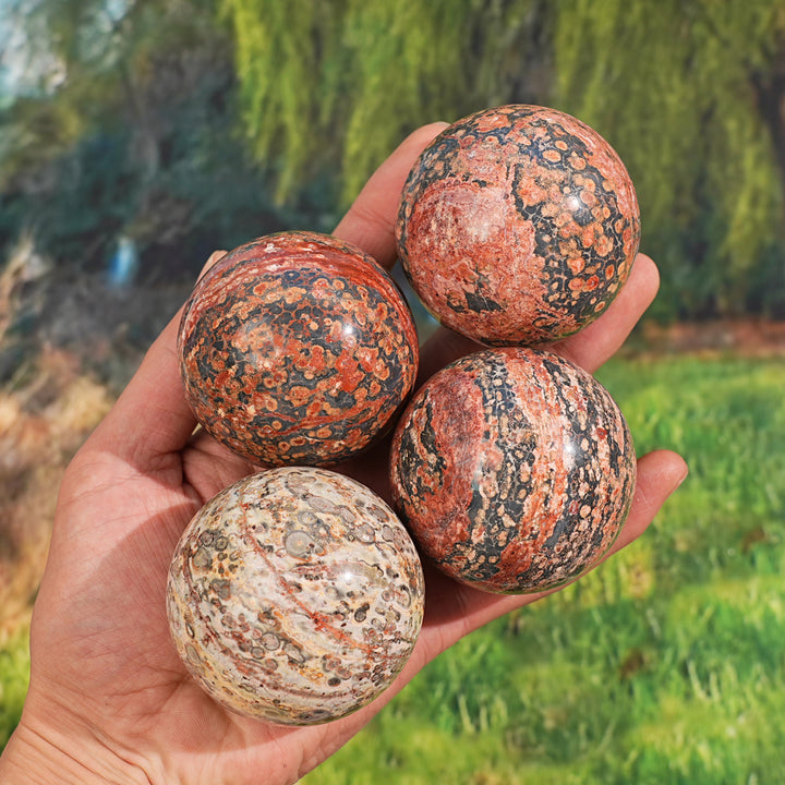 Natural Leopard Skin Jasper Sphere