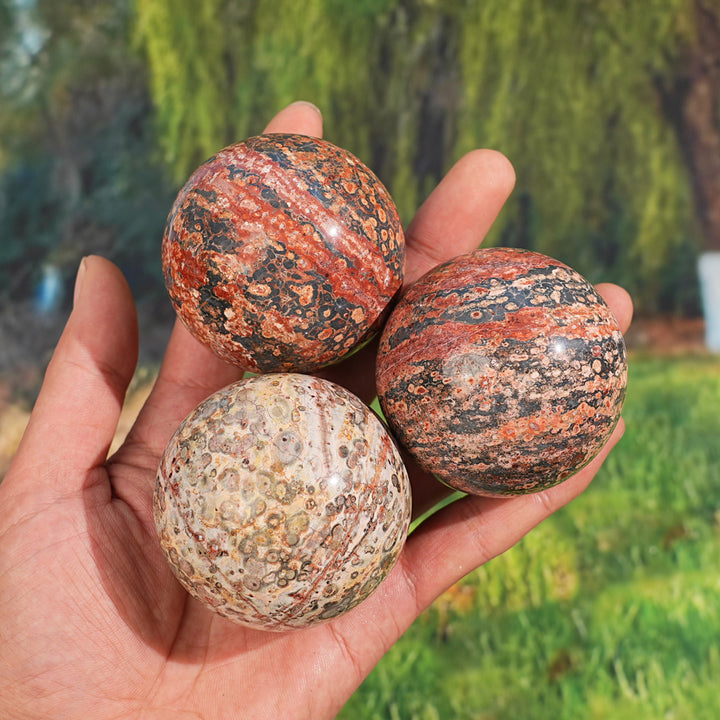 Natural Leopard Skin Jasper Sphere